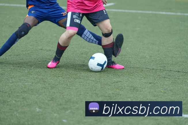 百家乐网站发展历程